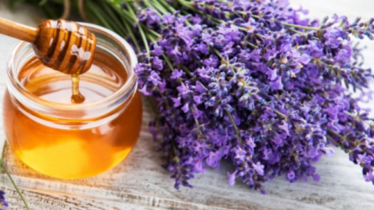 Damarları porçöz gibi açıyor! Sabahları 1 parmak yiyin, tıkanıklığı giderin… Damarları porçöz gibi açıyor! Sabahları 1 parmak yiyin, tıkanıklığı giderin…