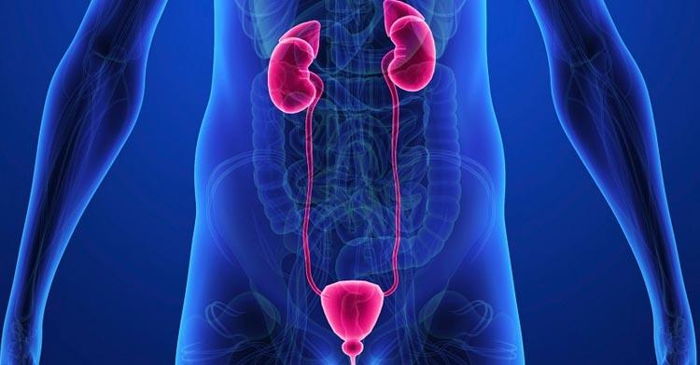 Erkeklerde Sertleşme Problemi? Erkeklerde Sertleşme Problemi?