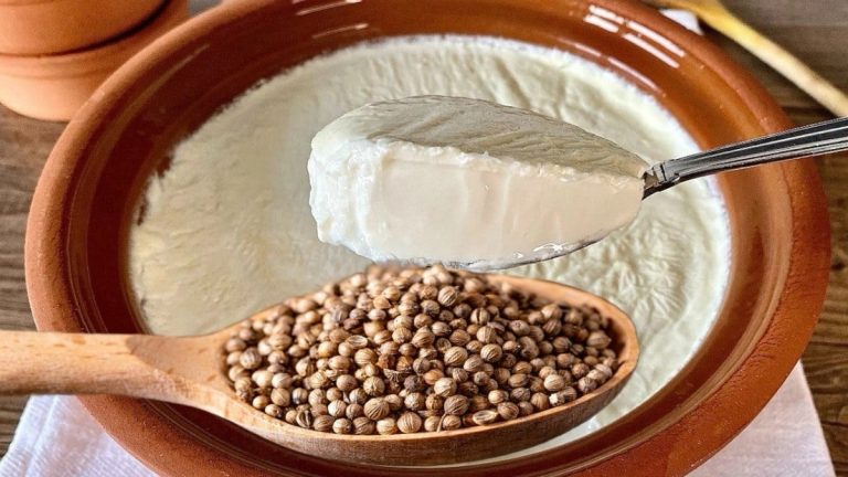 Geceleri 1 kase kişniş tohumlu yoğurt yemenin faydaları Geceleri 1 kase kişniş tohumlu yoğurt yemenin faydaları