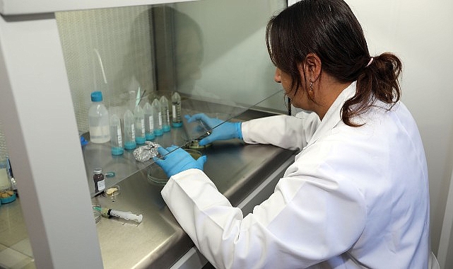 Muğla’nın Tohumları Türkiye’nin Topraklarıyla Buluşuyor Muğla’nın Tohumları Türkiye’nin Topraklarıyla Buluşuyor