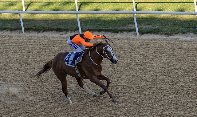 İzmir Büyükşehir Belediye Başkanlığı Koşusu’nu Wardenclyffe kazandı İzmir Büyükşehir Belediye Başkanlığı Koşusu’nu Wardenclyffe kazandı