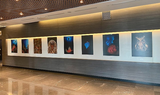 “Okyanusların Mirası” Sualtı Fotoğraf Sergisi Memorial Sanat Galerisi’nde “Okyanusların Mirası” Sualtı Fotoğraf Sergisi Memorial Sanat Galerisi’nde