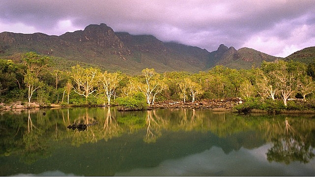 ‘Avustralya’nın Vahşi Ormanları’, 10 Ocak Cumartesi 20.00’de National Geographic WILD Ekranlarında! ‘Avustralya’nın Vahşi Ormanları’, 10 Ocak Cumartesi 20.00’de National Geographic WILD Ekranlarında!