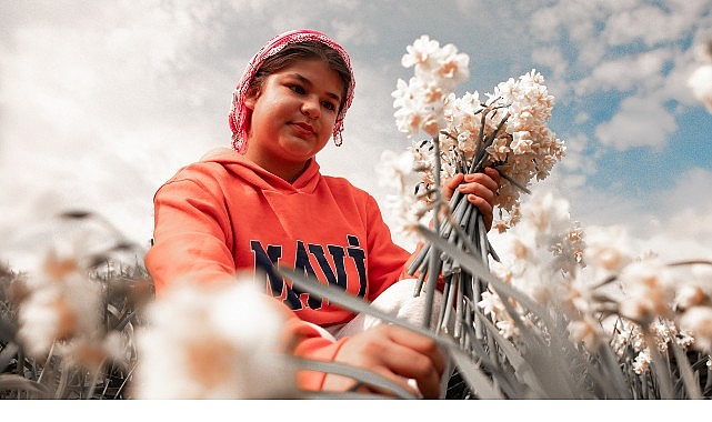 Bayındır’da Festival Heyecanı Başlıyor: Turan Mahallesi Nergis Kokularıyla Şenlenecek Bayındır’da Festival Heyecanı Başlıyor: Turan Mahallesi Nergis Kokularıyla Şenlenecek