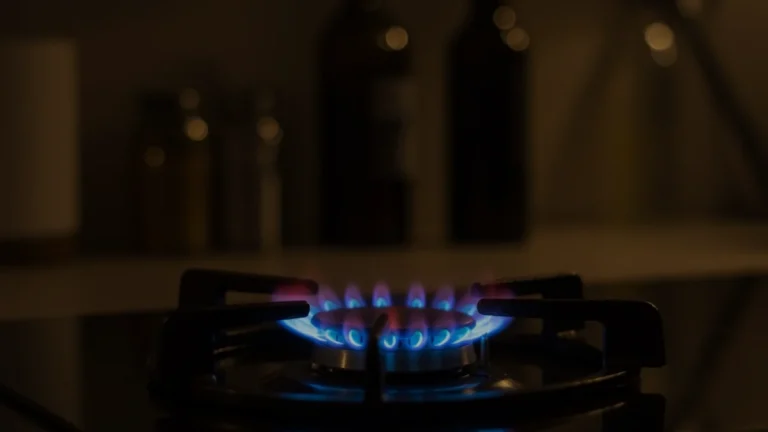 Aile ve Sosyal Hizmetler Bakanlığından 504 bin haneye gaz desteği