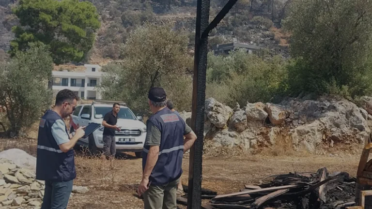 Bakan Kurum Antalya Muğla ve Balıkesirdeki Yangın Hasarını Açıkladı Bakan Kurum Antalya Muğla ve Balıkesirdeki Yangın Hasarını Açıkladı